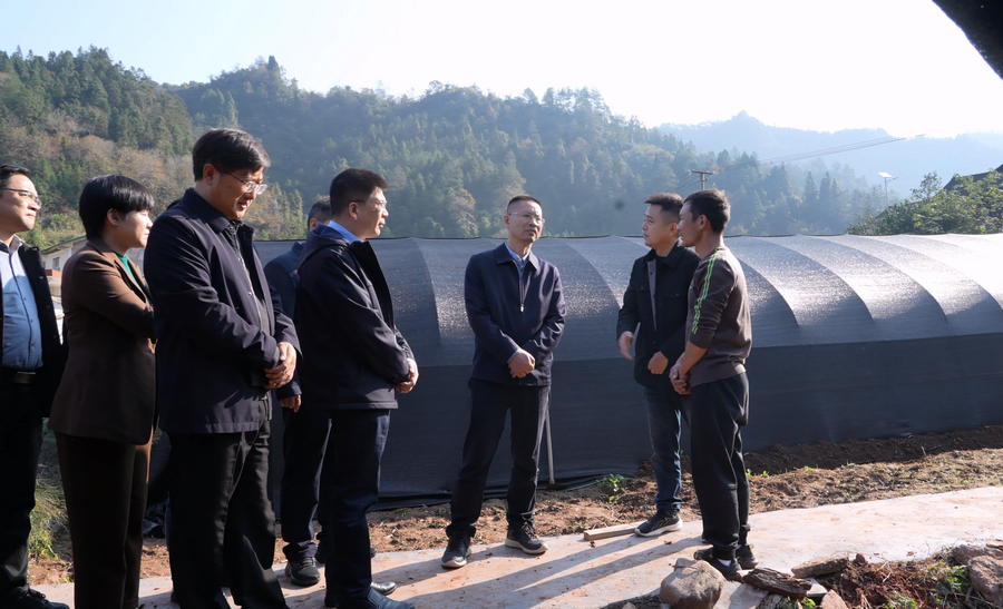 省农业农村厅赴古丈县鲇溪村调研 推动乡村振兴提质增效