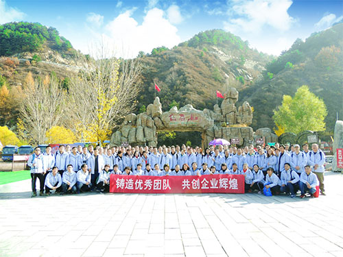 海利集团,长沙杀虫剂,长沙光气衍生物,长沙氨基酸保护剂,长沙锂离子电池材料